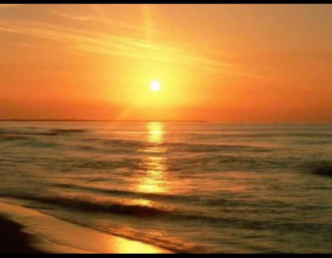 The Pleasure Of Living In Front Of The Sea Leilighet Calafell Eksteriør bilde